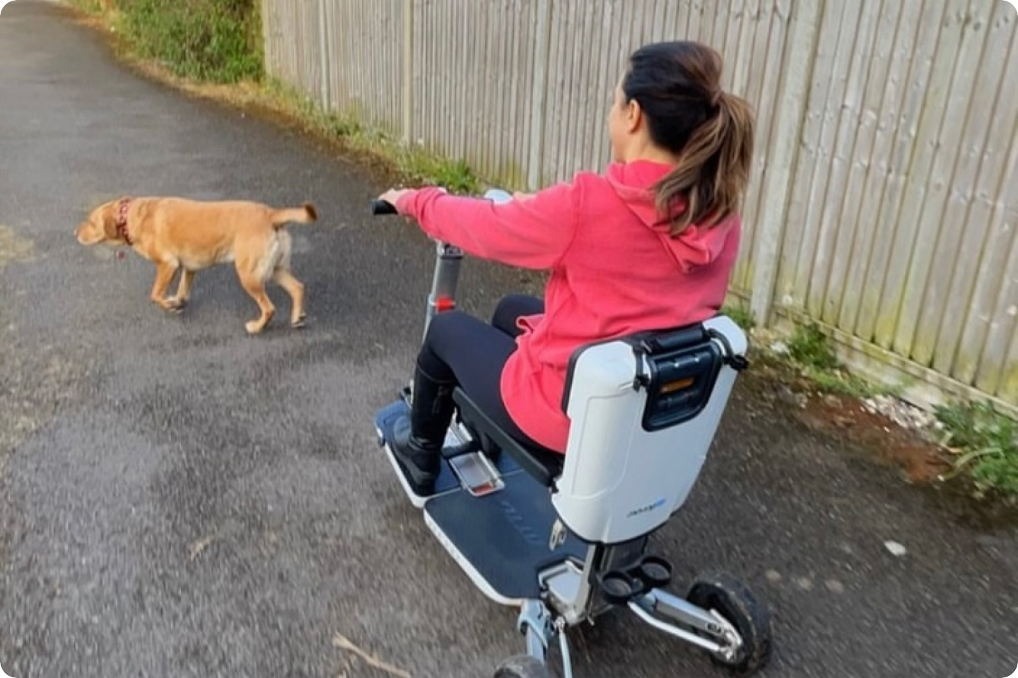 Photo of Georgina on her motorised scooter with her yellow labrador dog walking in front