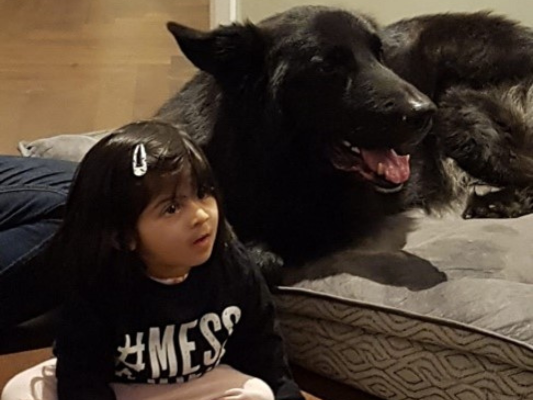 A young girl sits on the floor next to a large, fluffy black dog who is lying down. The girl, dressed in a black long-sleeve shirt with "#MESS" written on it, looks attentively towards the left, her expression one of focus and curiosity. The dog appears relaxed and content. The room has wooden flooring and a homey feel.
These descriptions capture the main elements of each image and the atmosphere within them, suitable for visual context or alt text purposes.