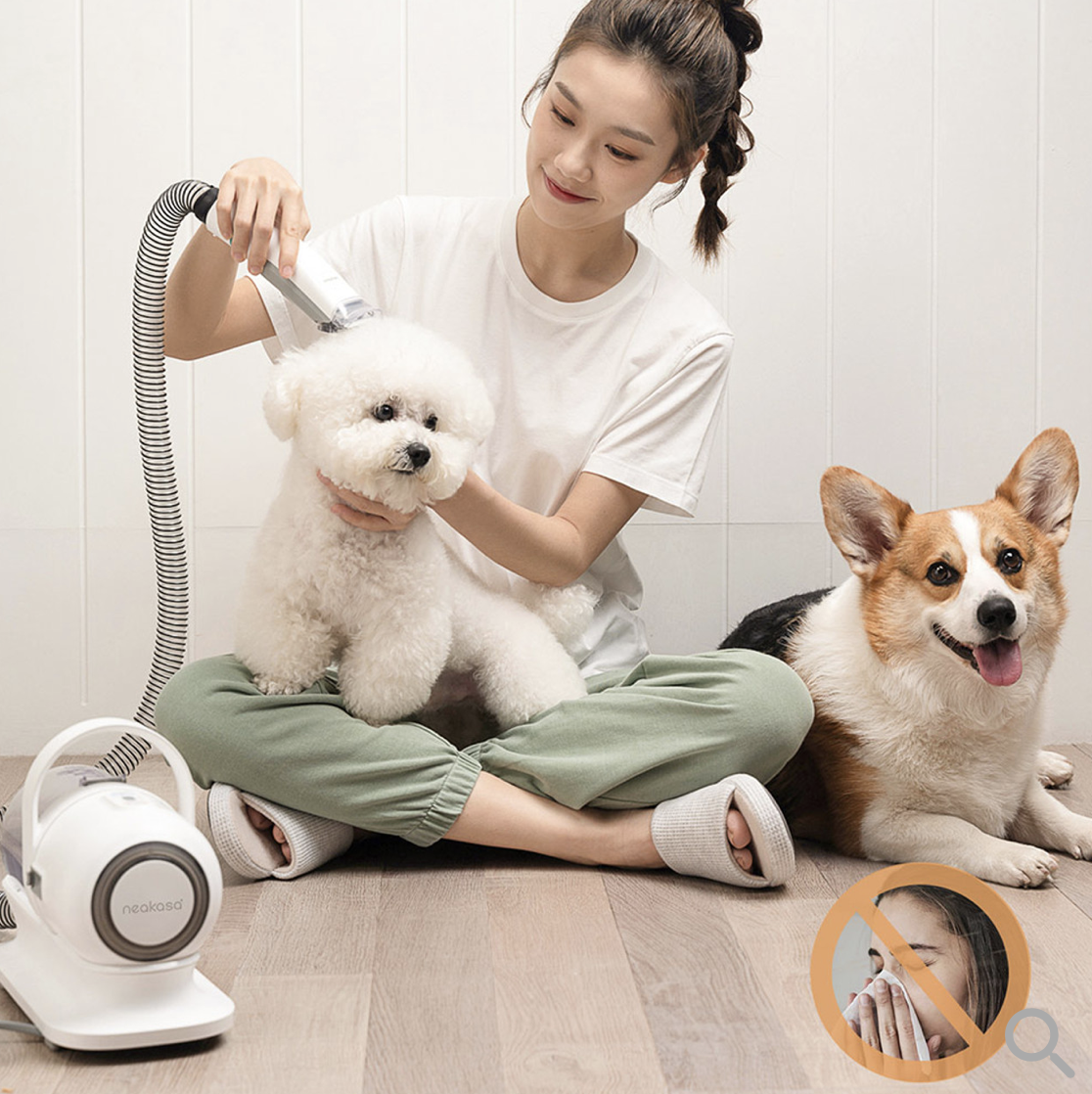 Ultimate pet groomer, a young asian woman is sat on the floor using the groomer on a white fluffy small dog, whilst a Corgi dog sits by her