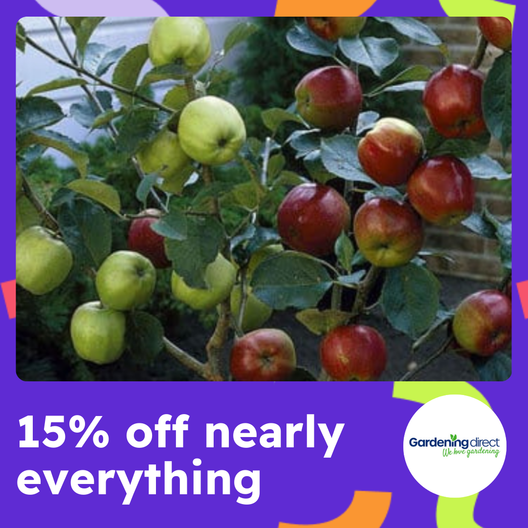 A purple frame with Gardeing Direct logo and two apple trees with red and green apples on them, text reads 15% off nearly everything