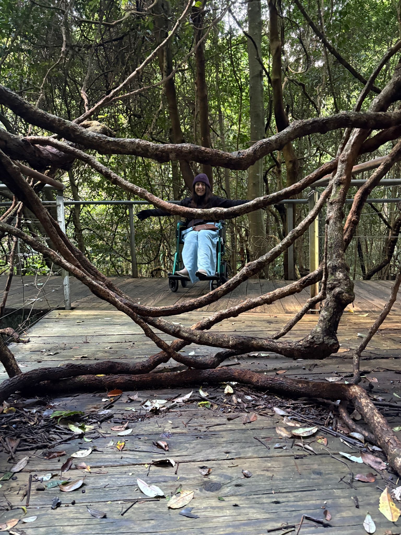 Georgina using a wheelchair on an accessible boardwalk in Sydney's bushland, surrounded by native trees and woodland, highlighting accessible outdoor experiences for disabled people and people with long term health conditions.